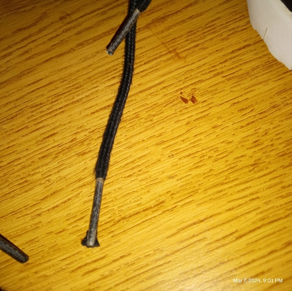 Kids Nike Air Max Thea 2.5Y  black mesh with pink accents foam midsole - Picture 4 of 11